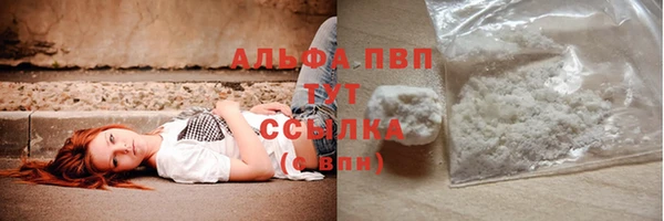 крисы Аркадак