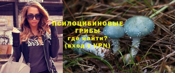 Альфа ПВП Арсеньев
