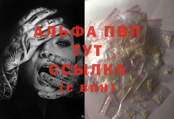 ПСИЛОЦИБИНОВЫЕ ГРИБЫ Армянск