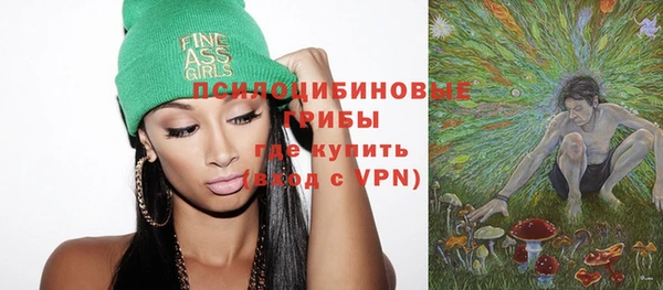 крисы Аркадак