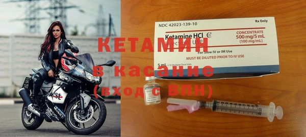 крисы Аркадак
