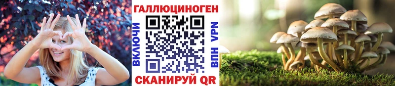 Псилоцибиновые грибы прущие грибы  Купить где  Городец 
